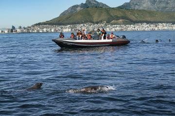 Marine Eco Tour