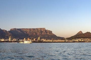 Combo Marine Wildlife Cruise + Cape Town City pm Tour